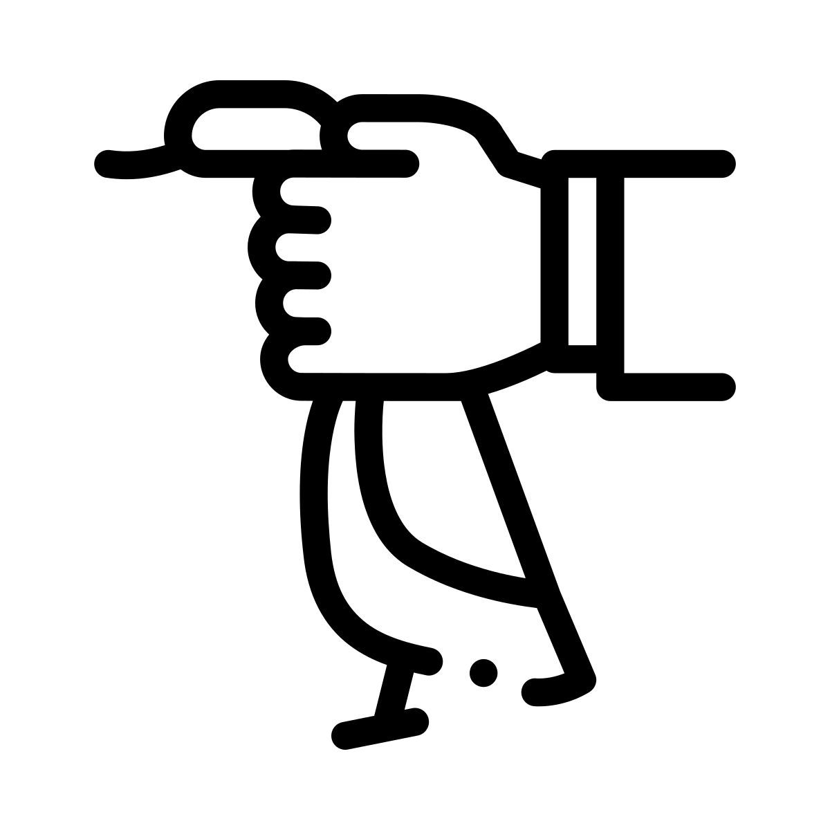 pato icon