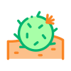 external cactus-desert-others-pike-picture icon