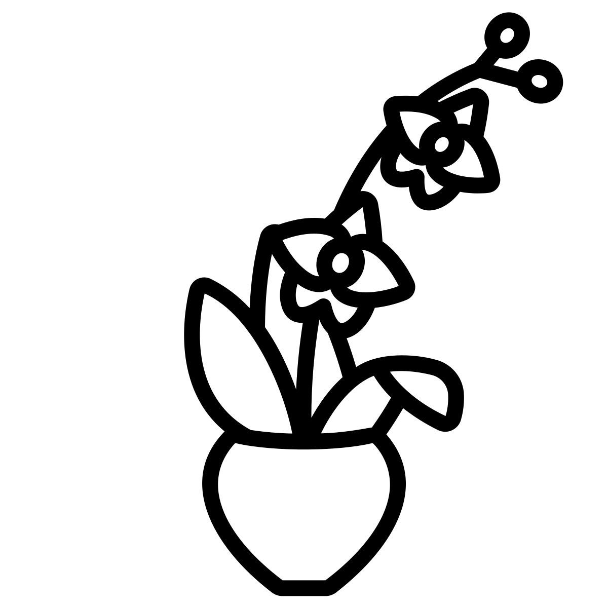 orquídea icon