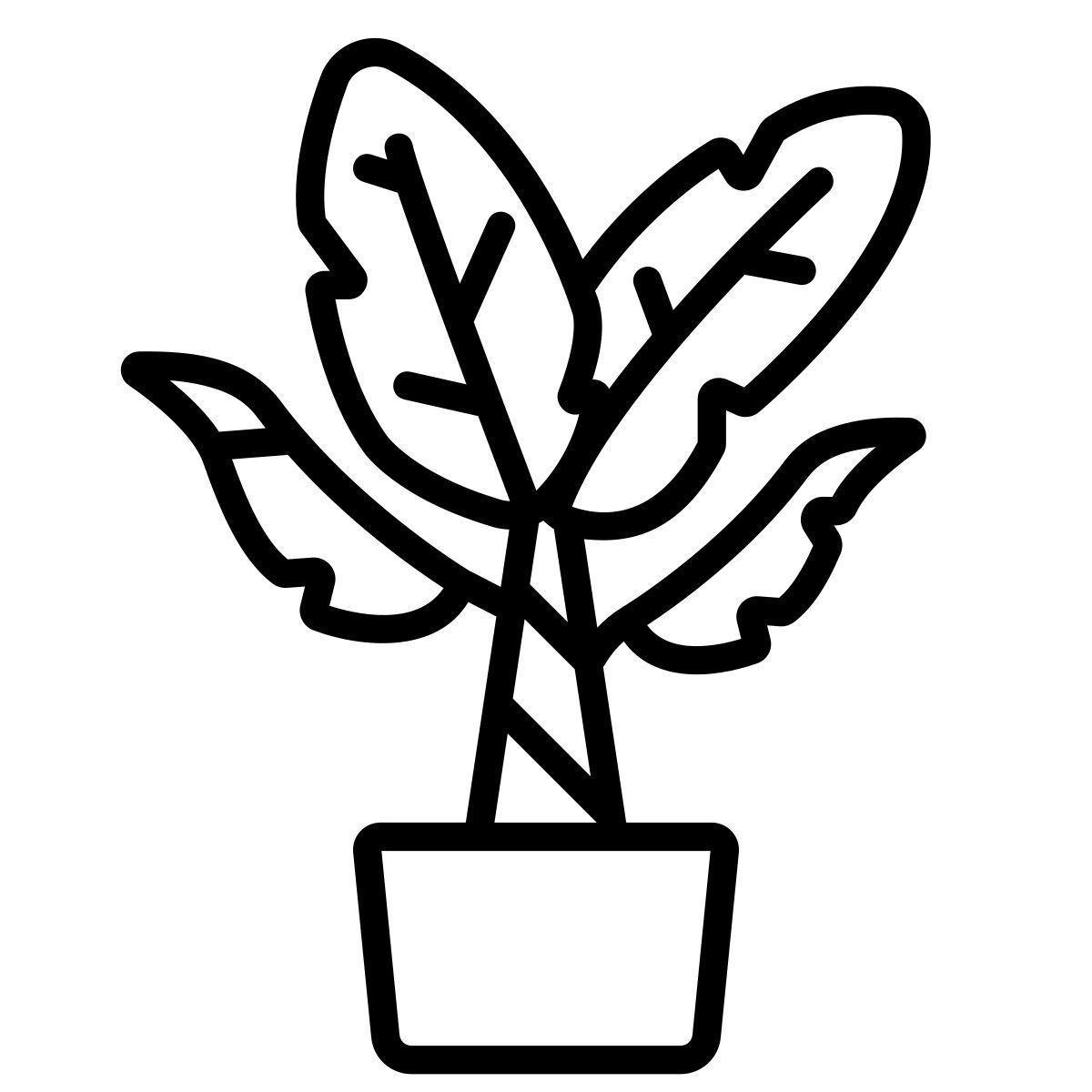 palm icon