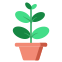 external leaf-indoor-plant-flat-others-rabbit-jes icon