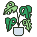 external leaf-indoor-plant-filled-outline-others-rabbit-jes icon