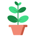 external leaf-indoor-plant-flat-others-rabbit-jes icon