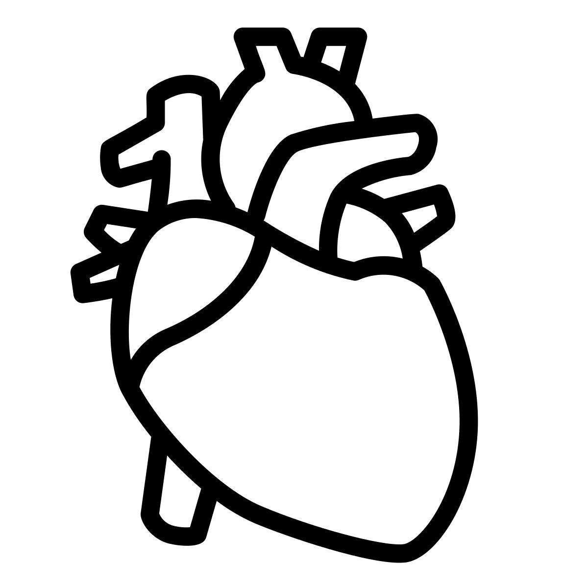 cuore icon