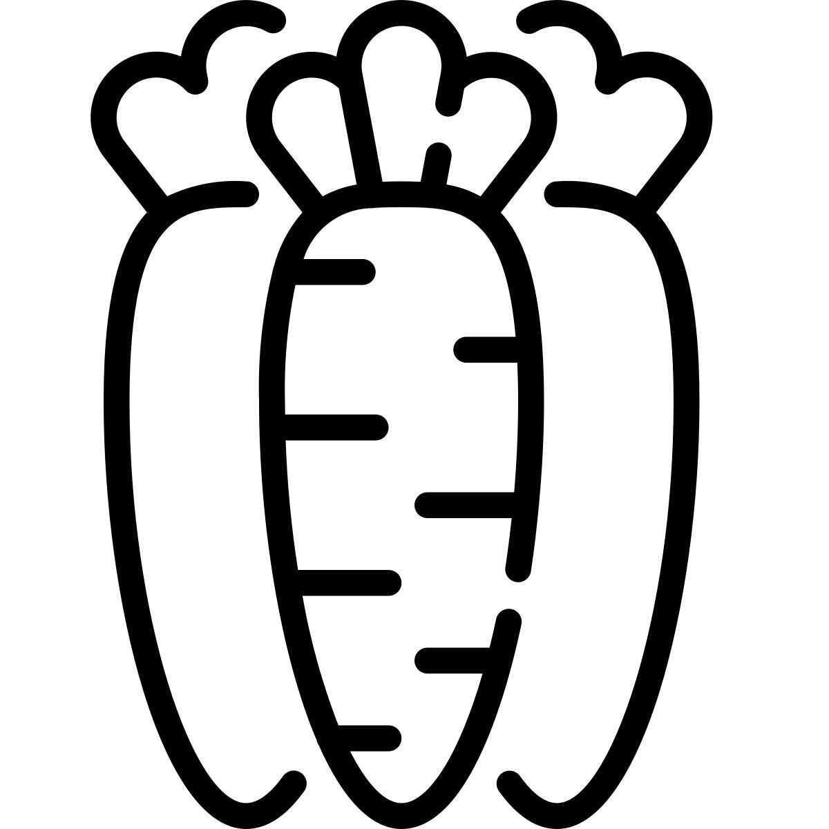 carrots icon