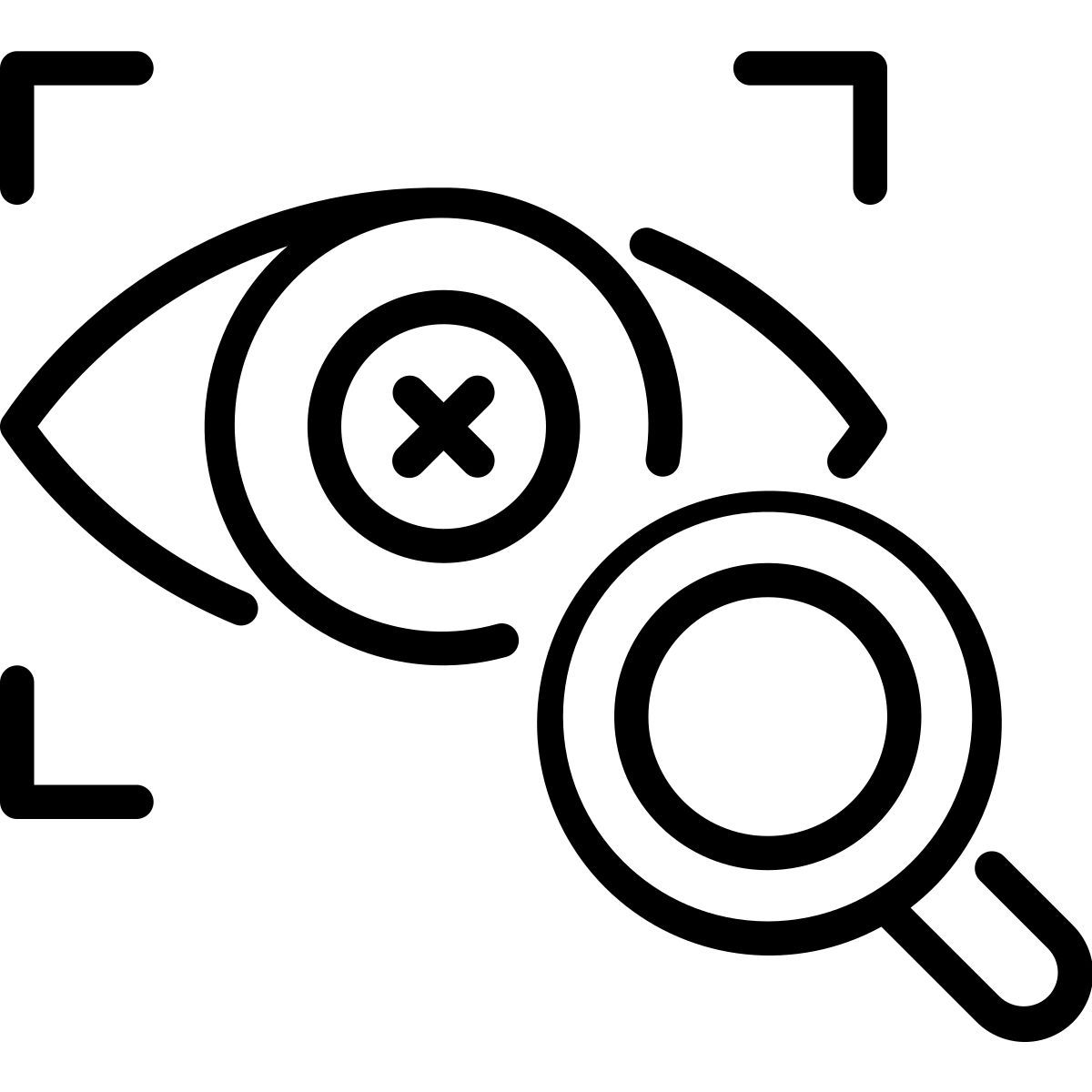 vision icon