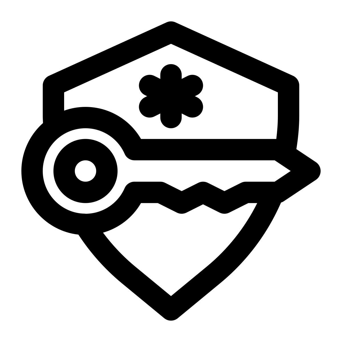 chiave di crittografia icon