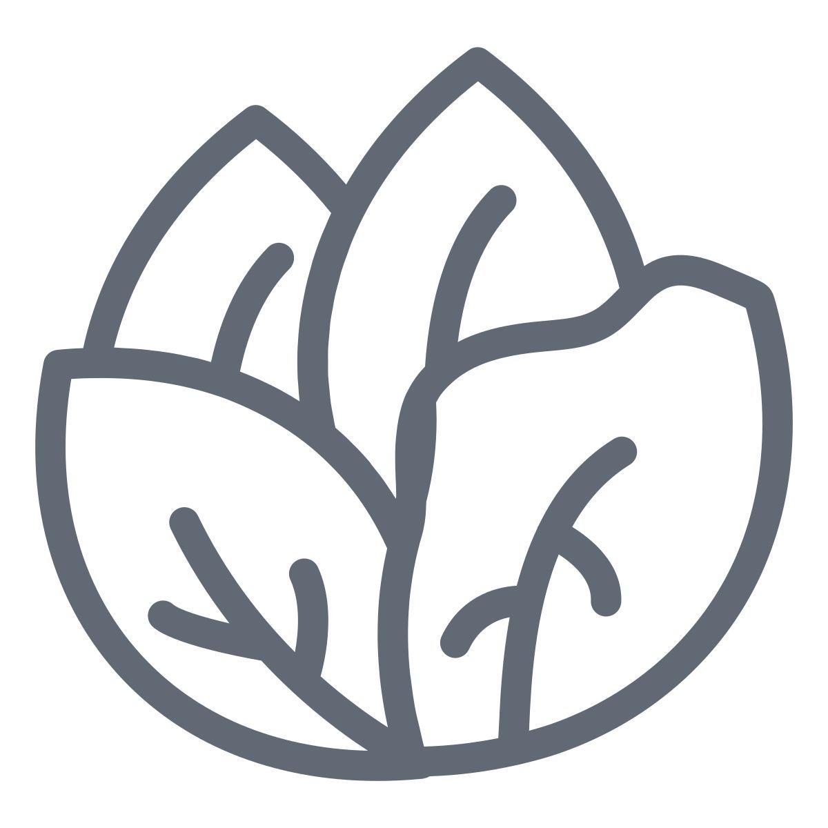 cabbage icon