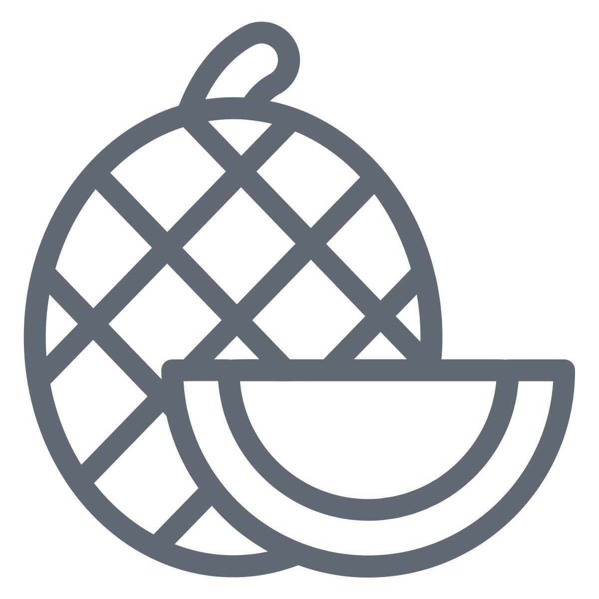 cantaloupe icon