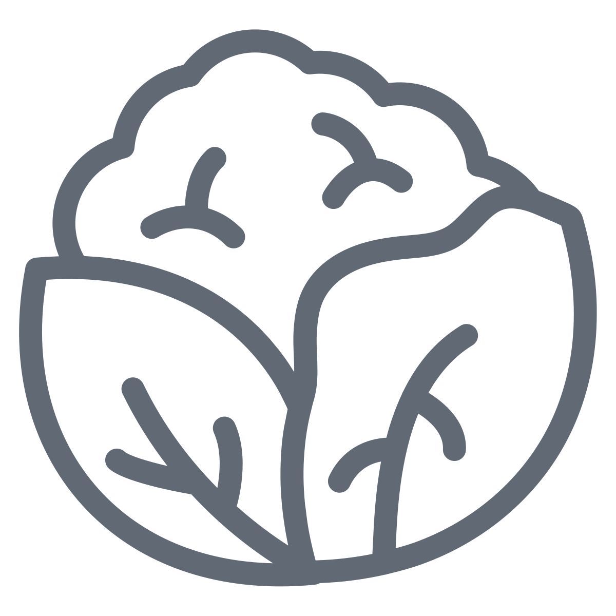 콜리플라워 icon