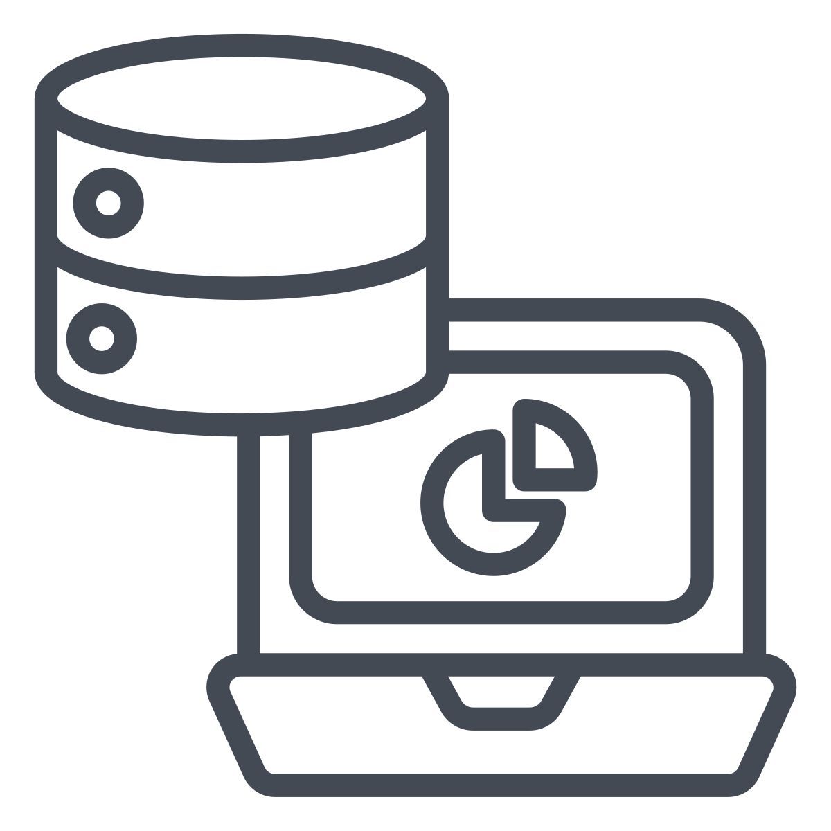 data server icon