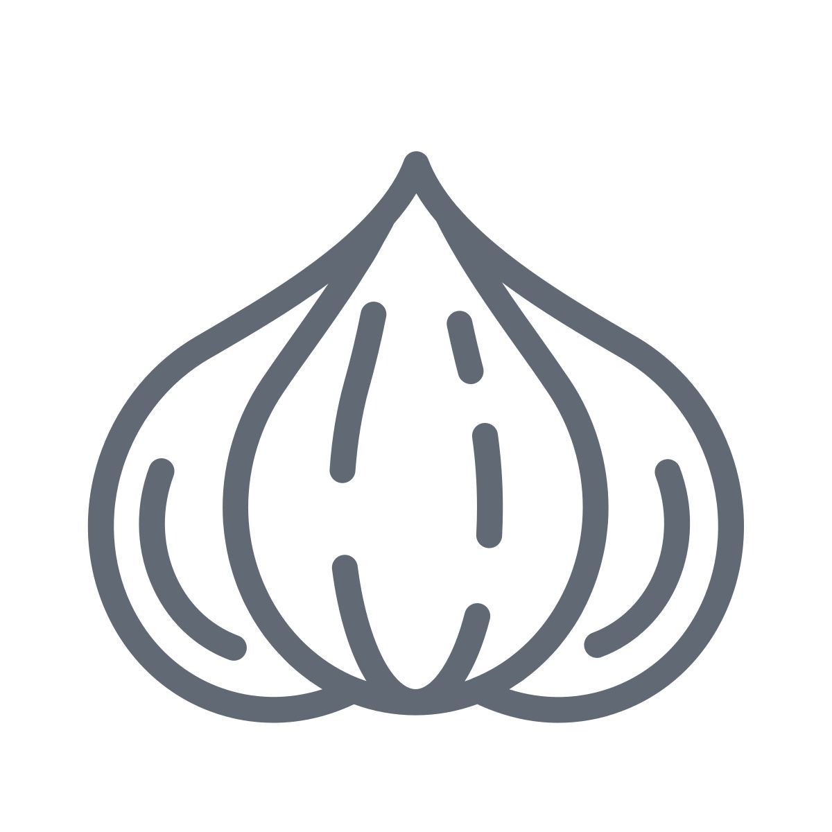 garlic icon