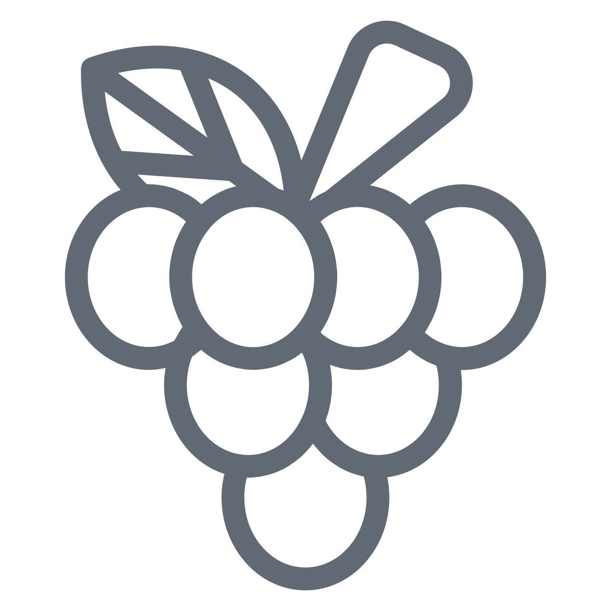 葡萄 icon