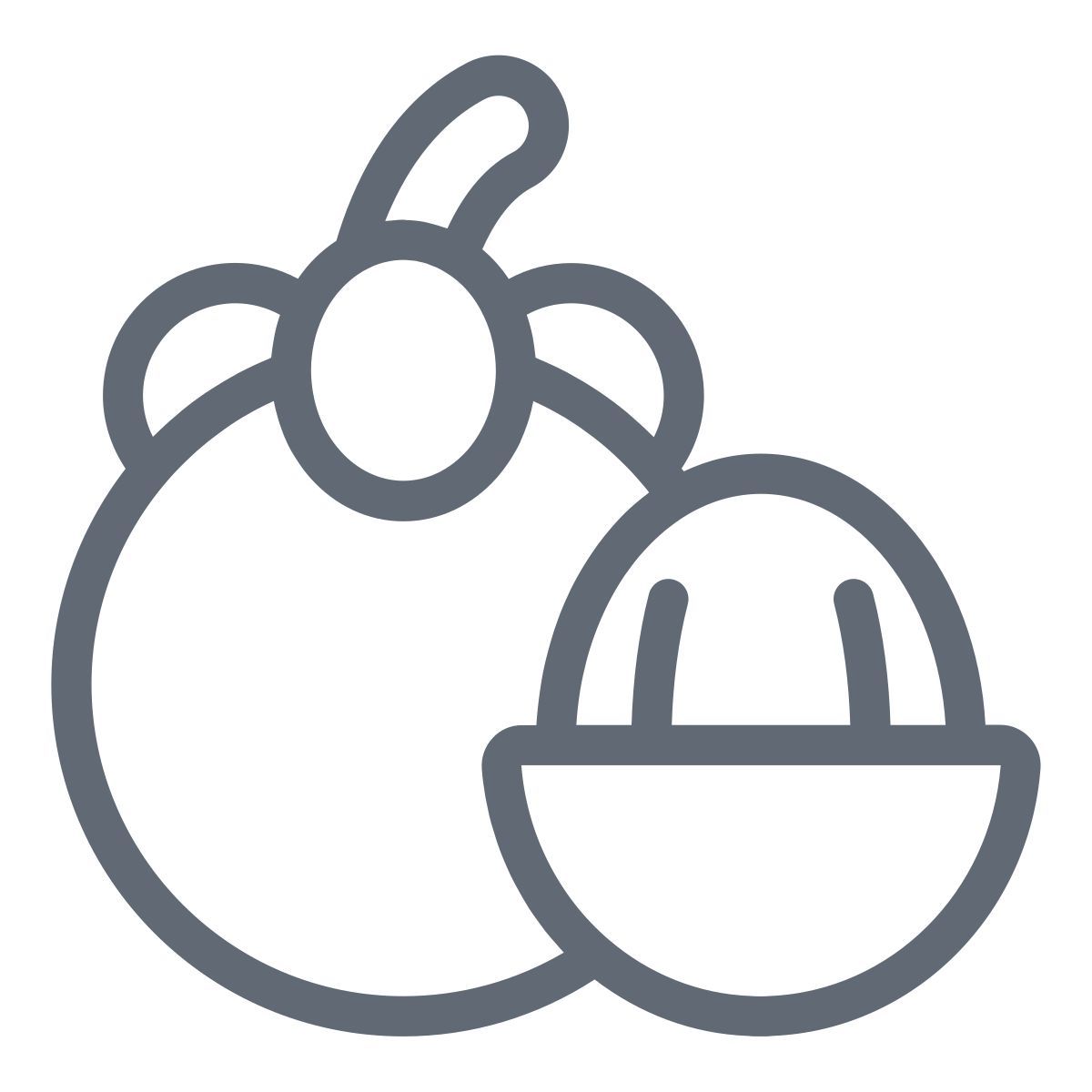 mangosteen icon