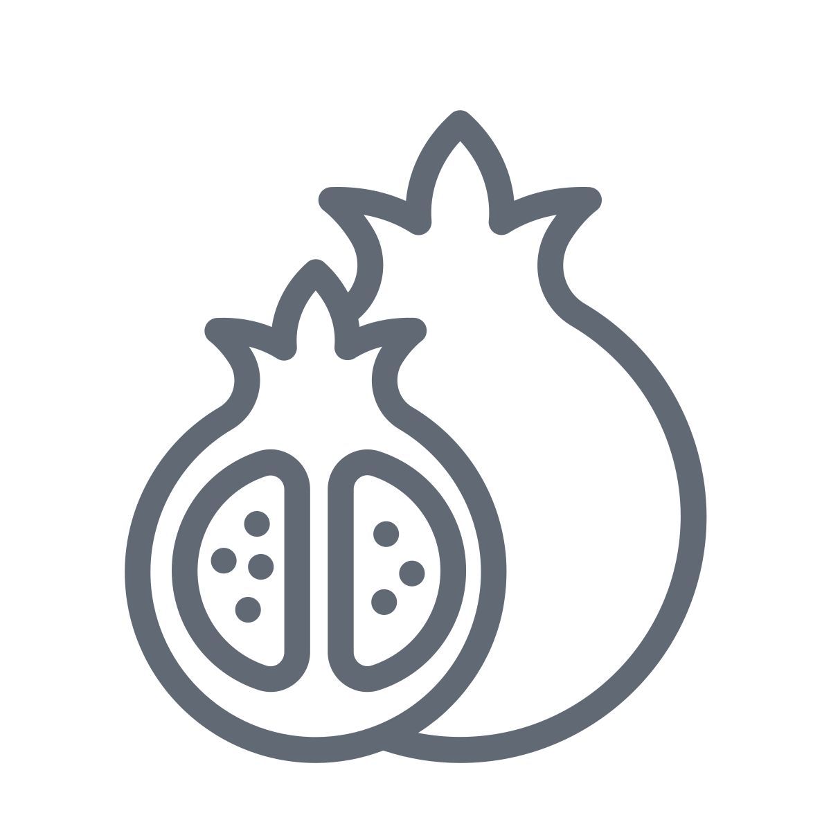 pomegranate icon