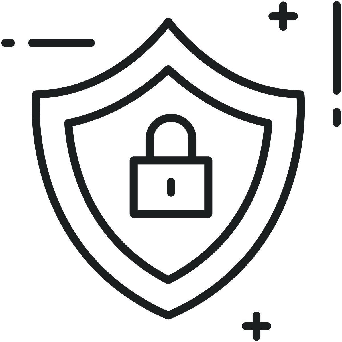 protection lock icon