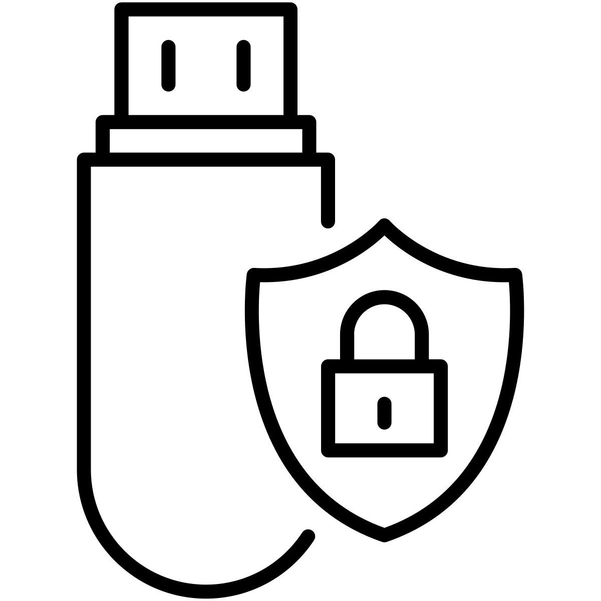 secure data input icon