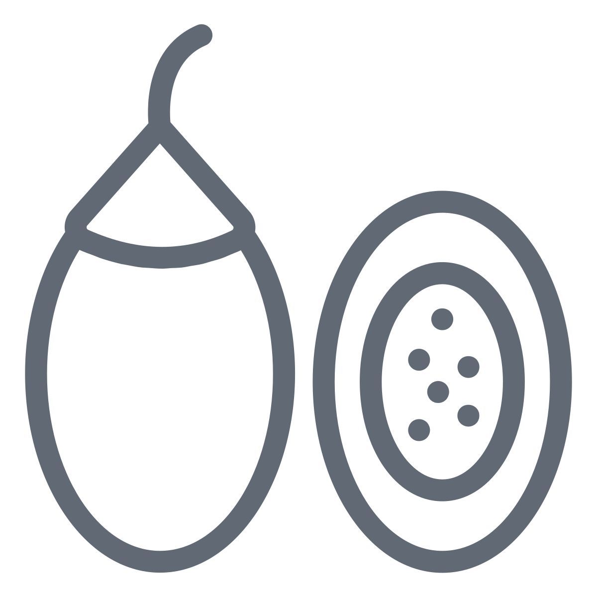 tamarillo icon