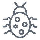external Bug-school-and-learning-outline-design-circle icon