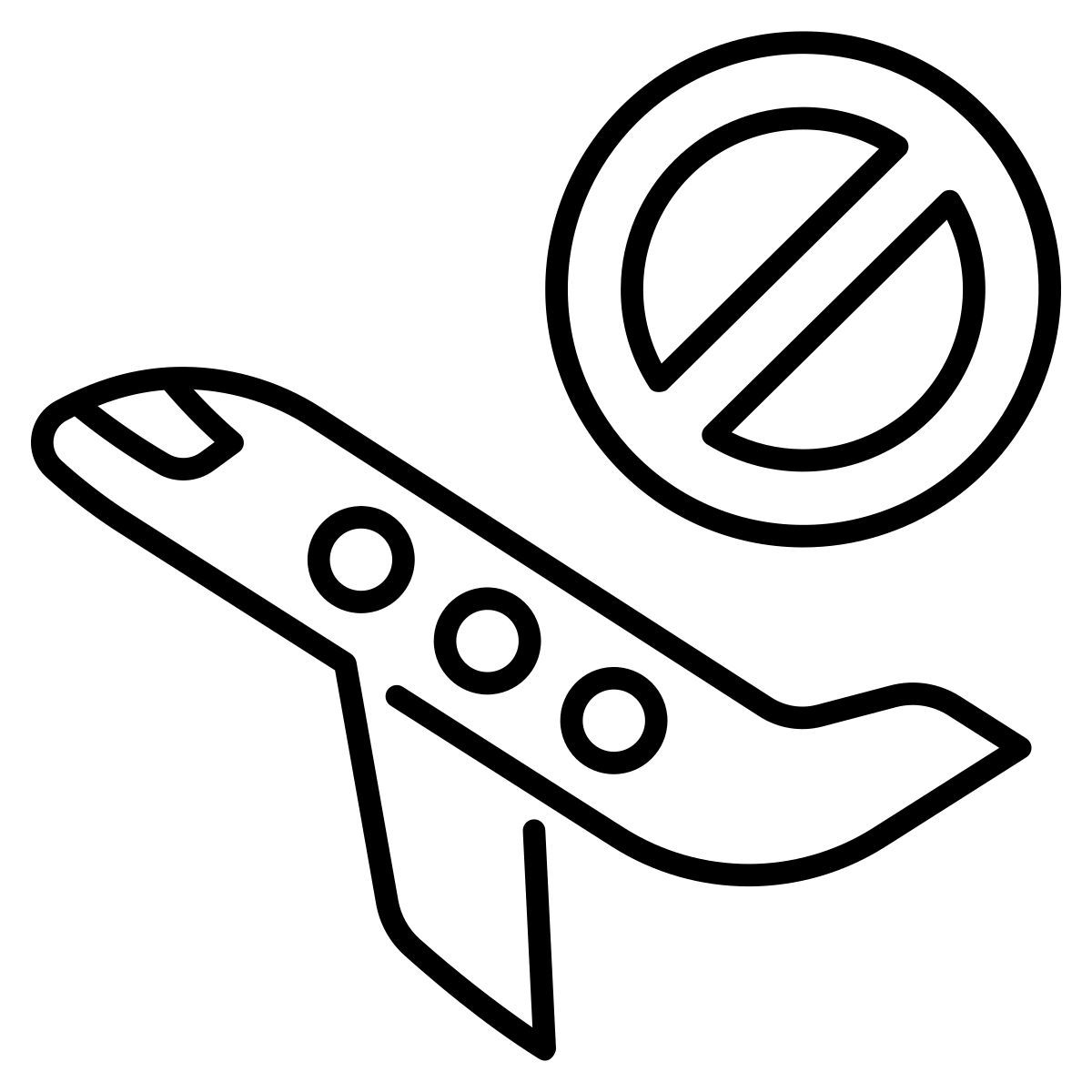 airport icon