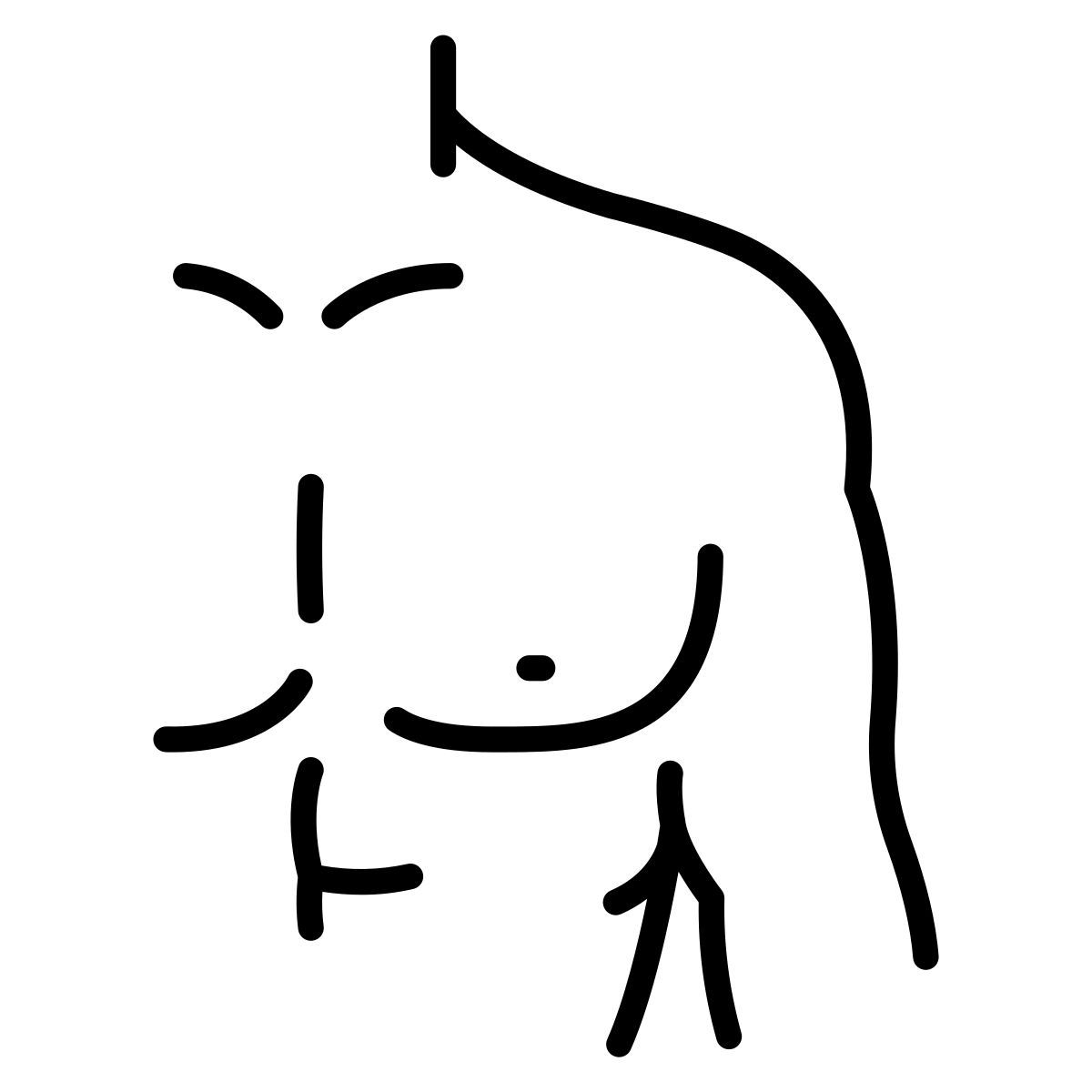 해부 icon