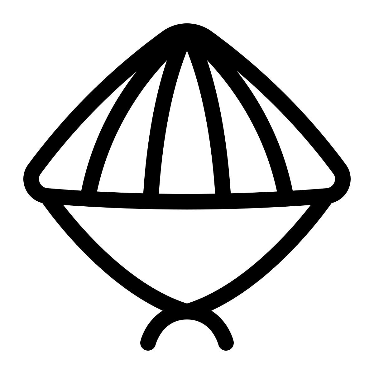 icon conical hat