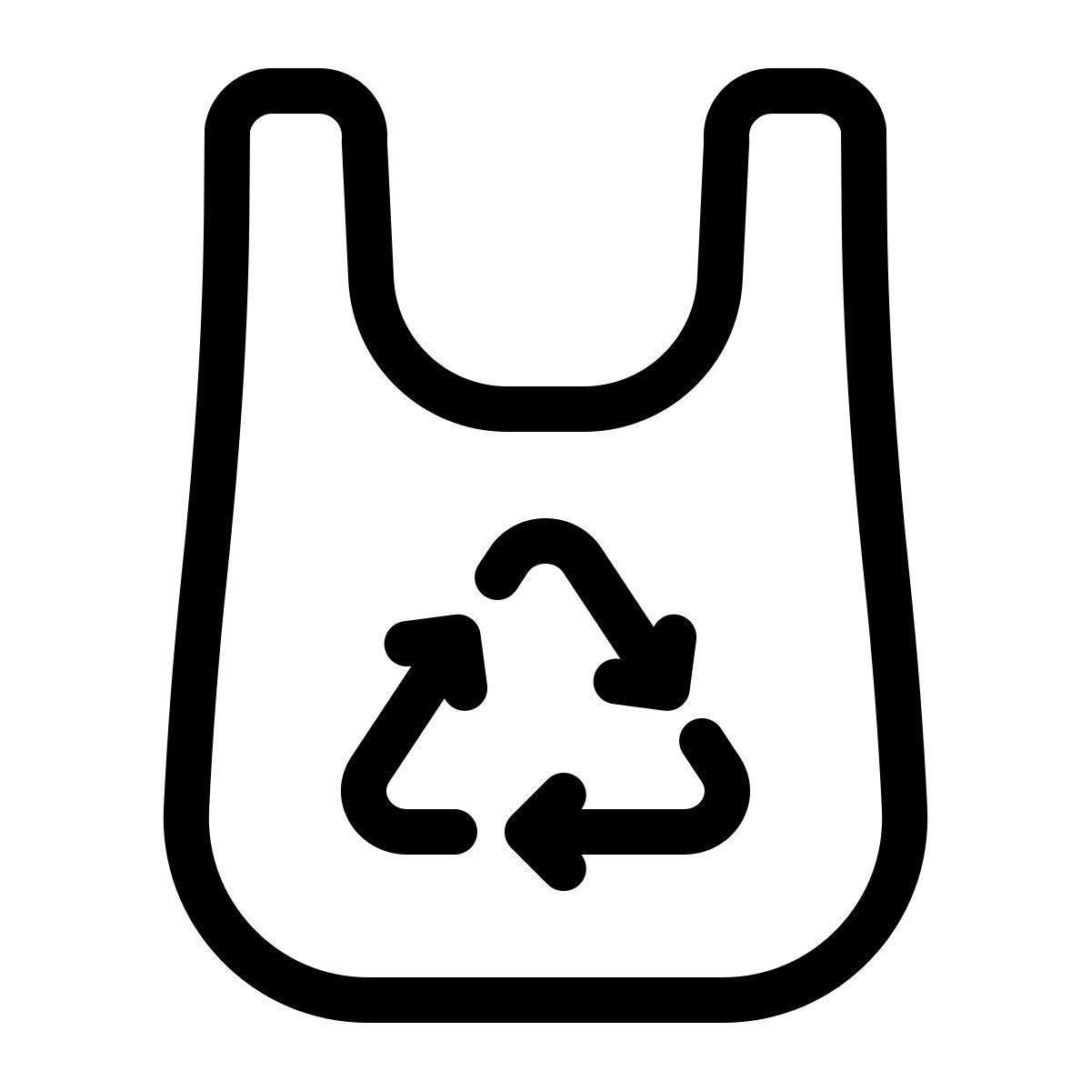 reusable bag Icon