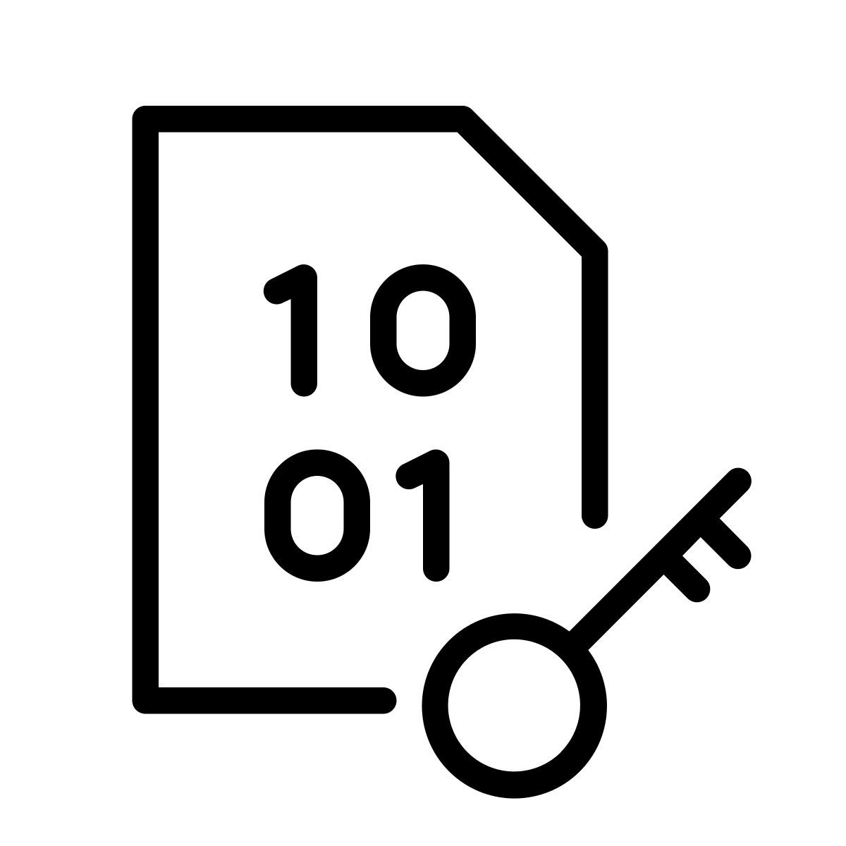 cryptography key icon