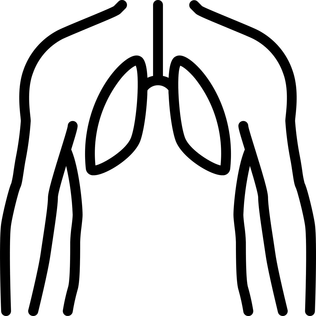 Bronchi icon