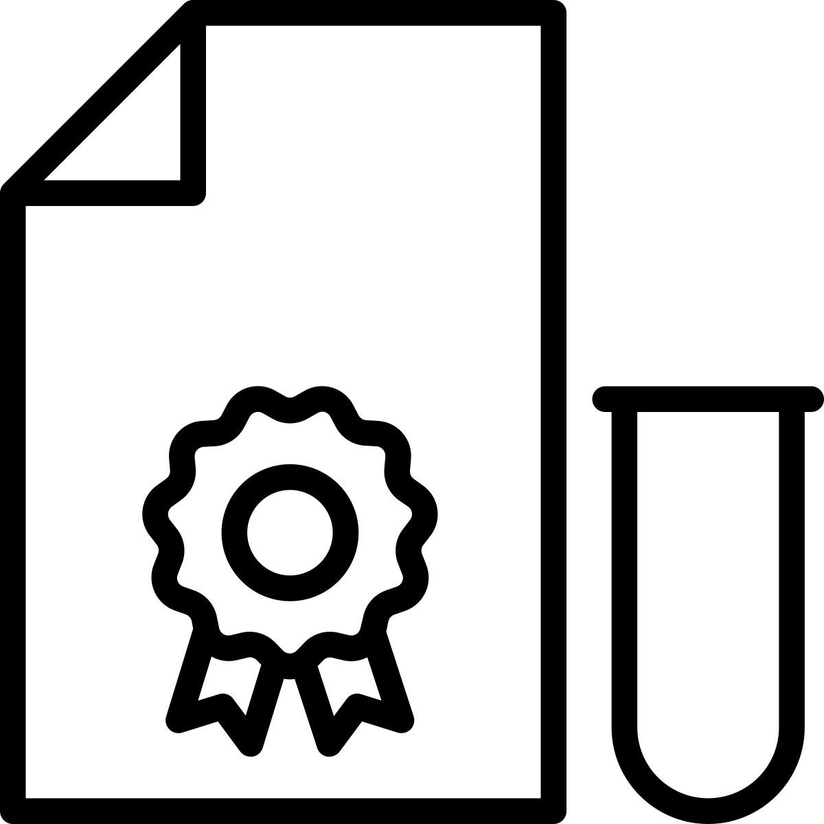 certificate icon