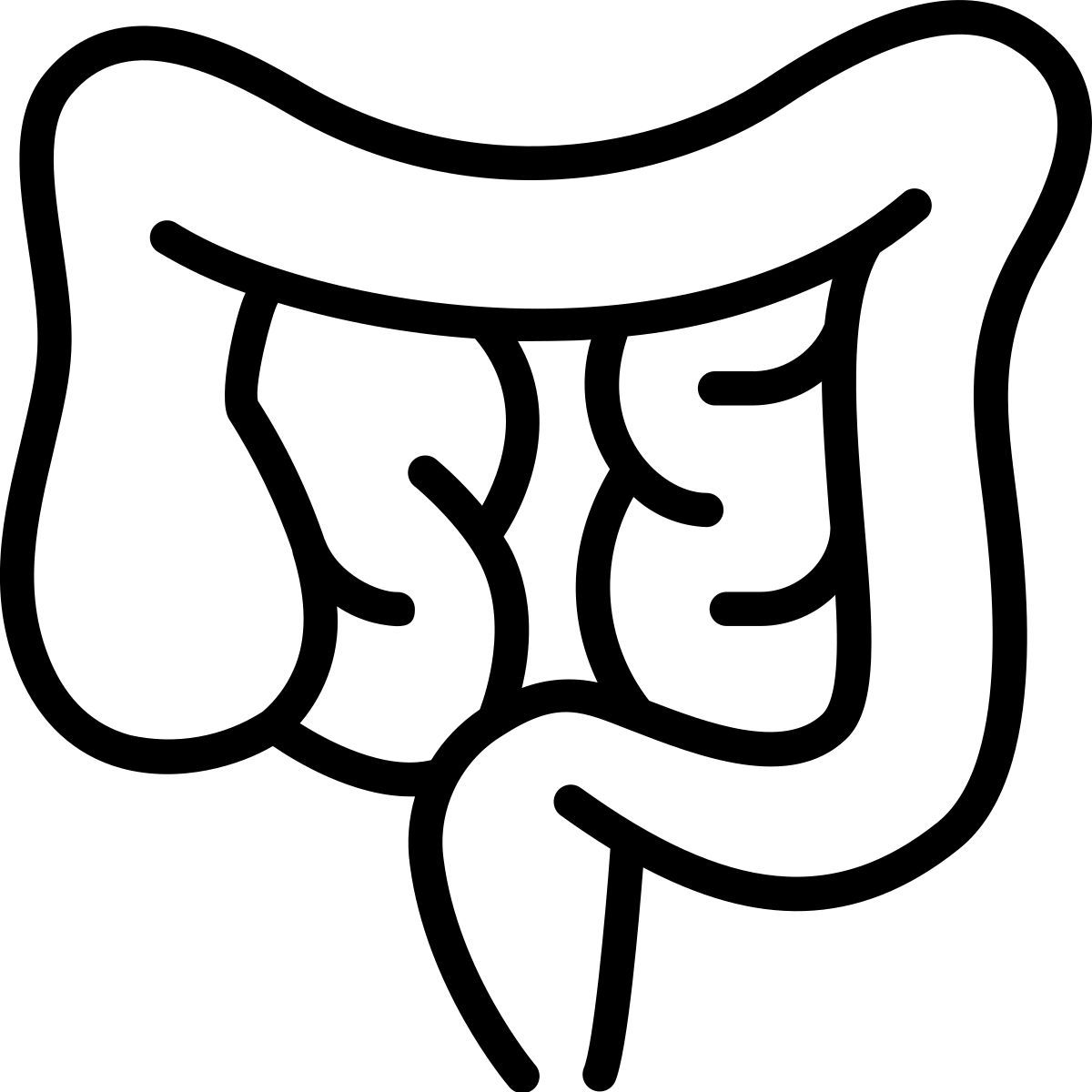 digestion icon