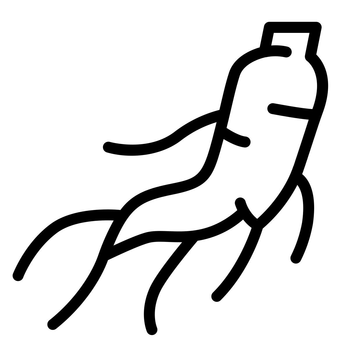 ginseng icon