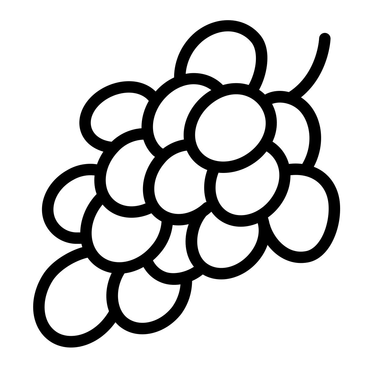 葡萄 icon