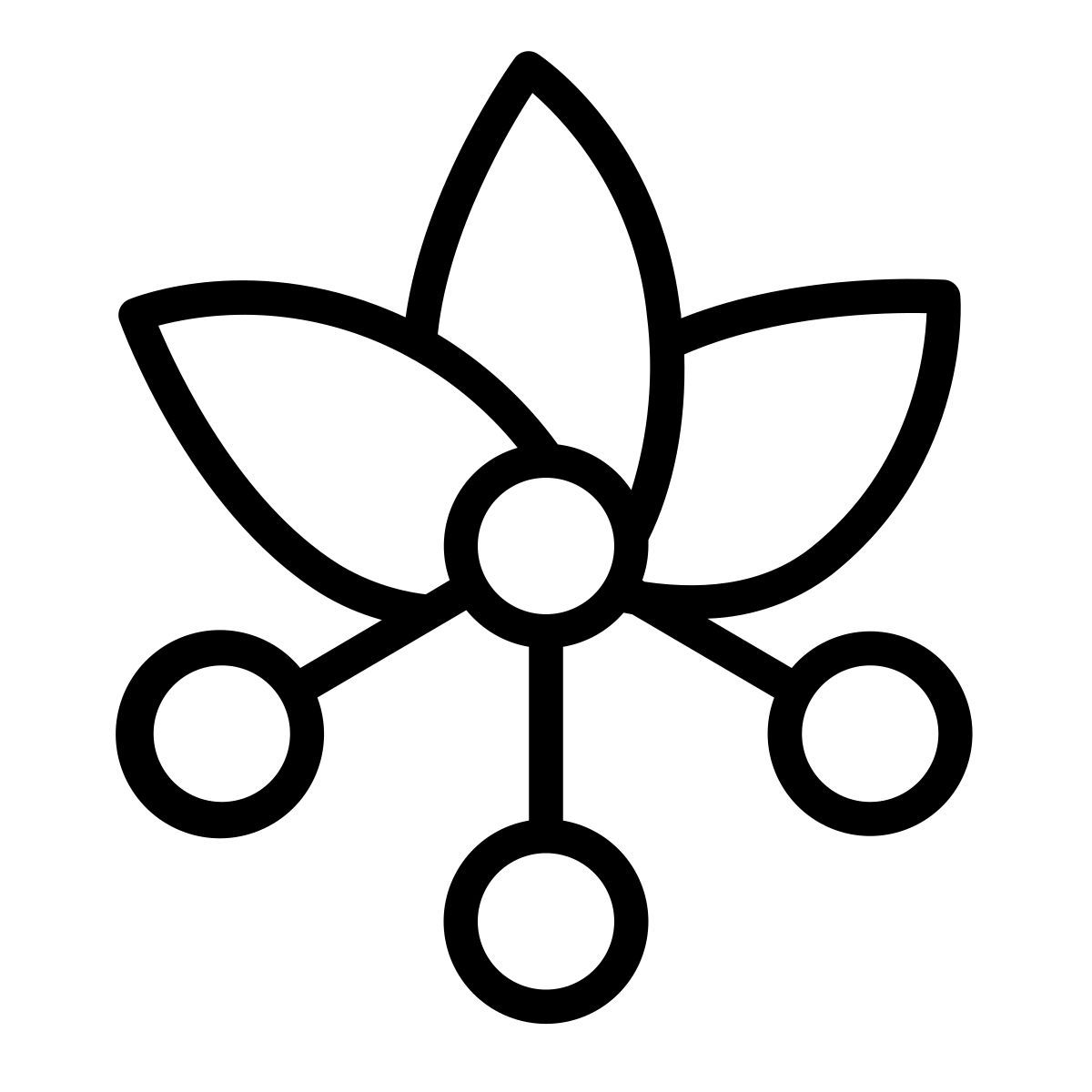 teal organization icon