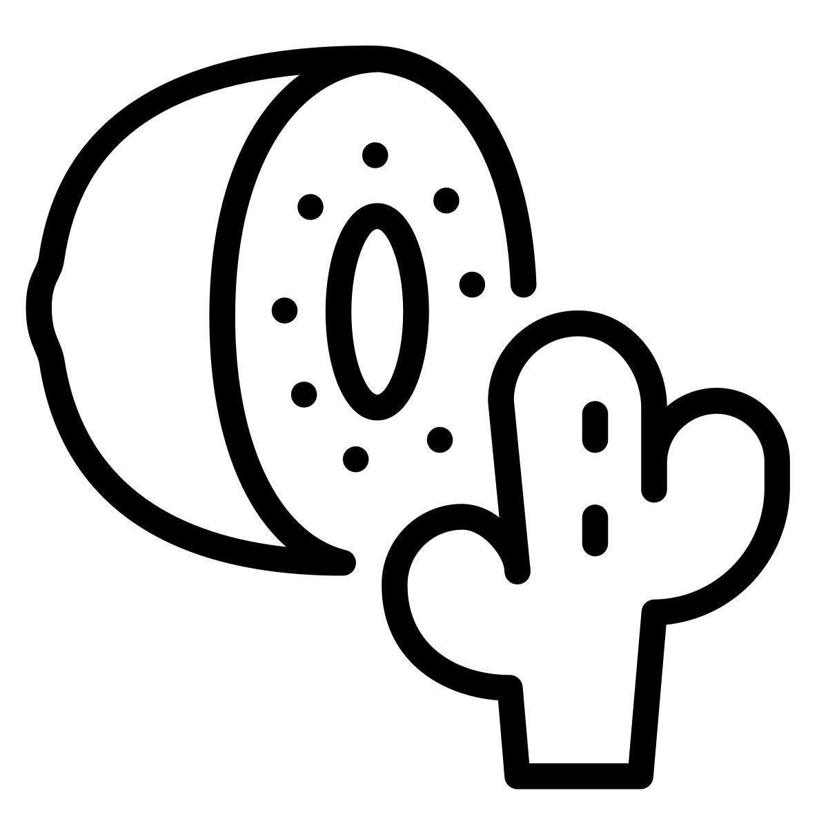 kiwi icon