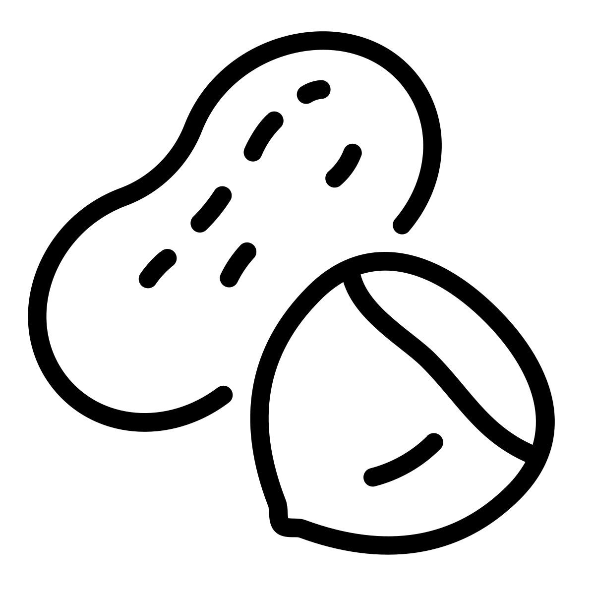 noci icon