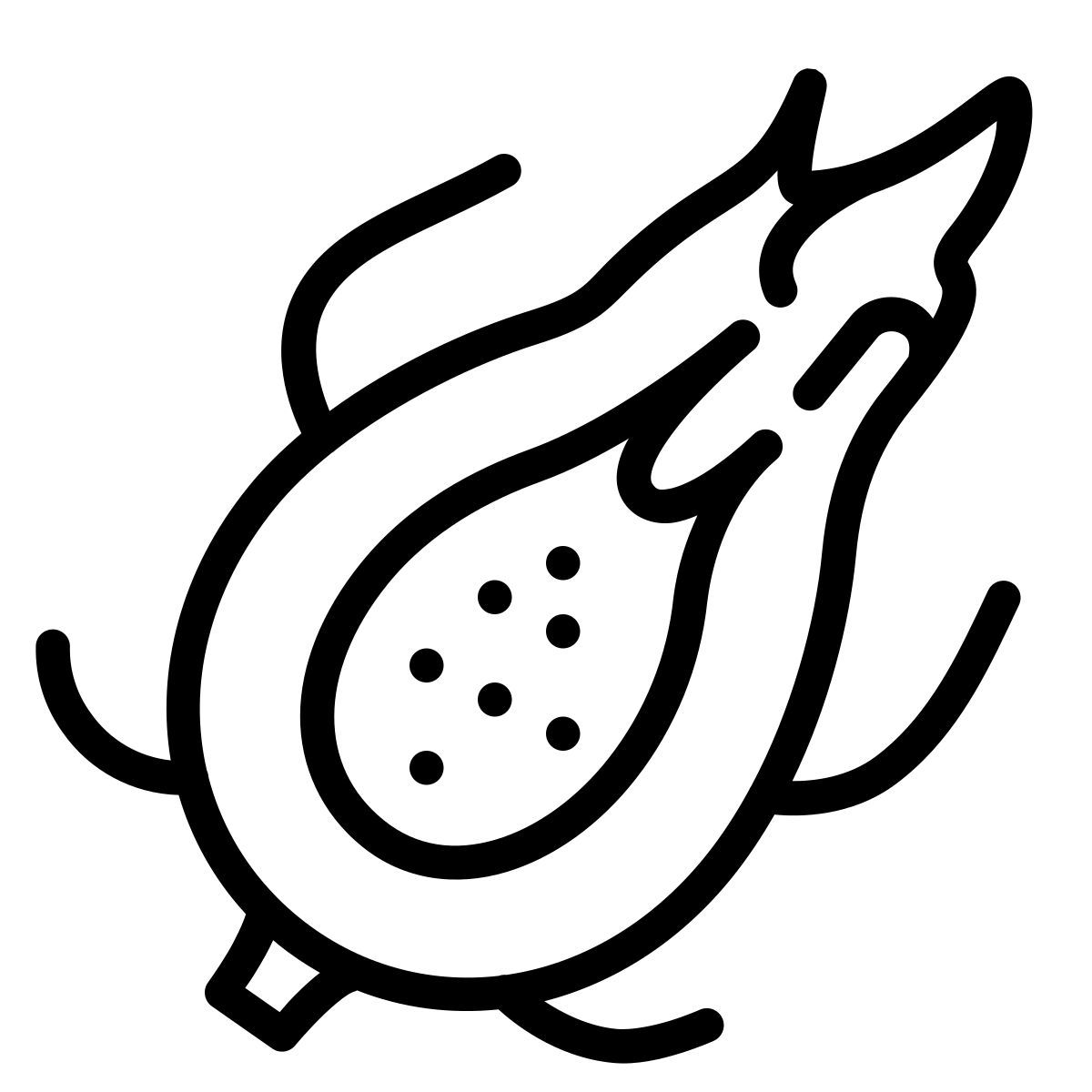 pitaya icon