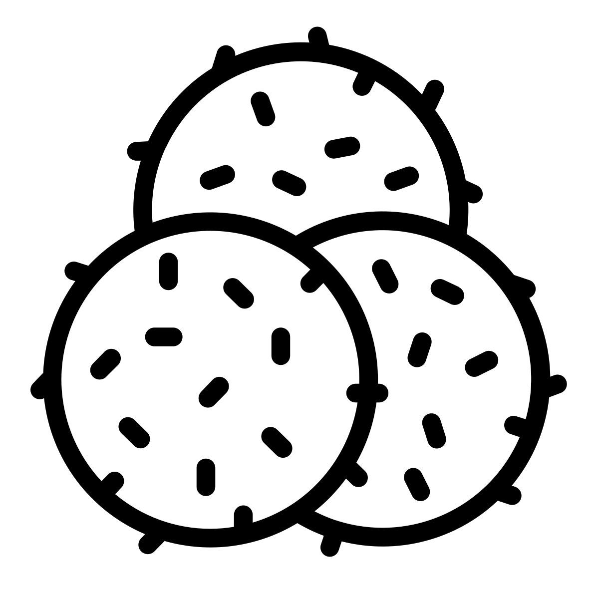 raffaello icon