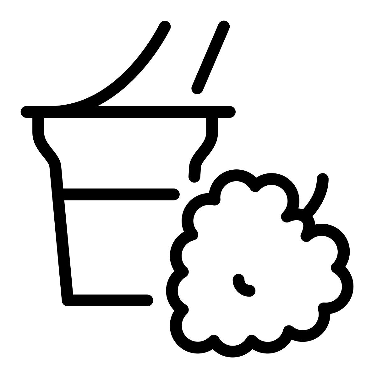 raspberry icon