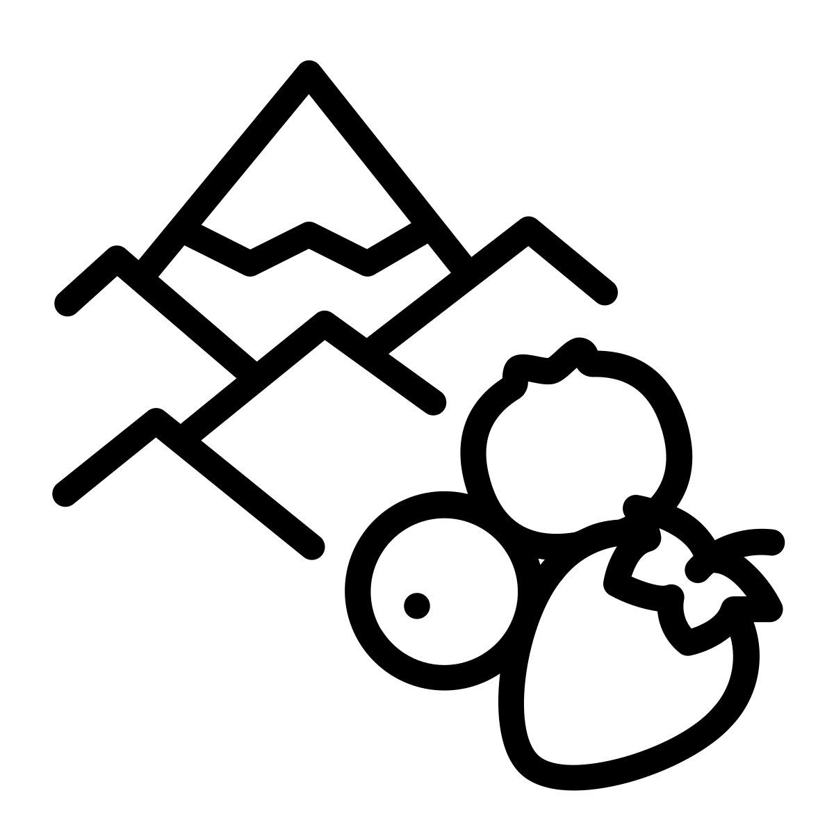 scandinavo icon
