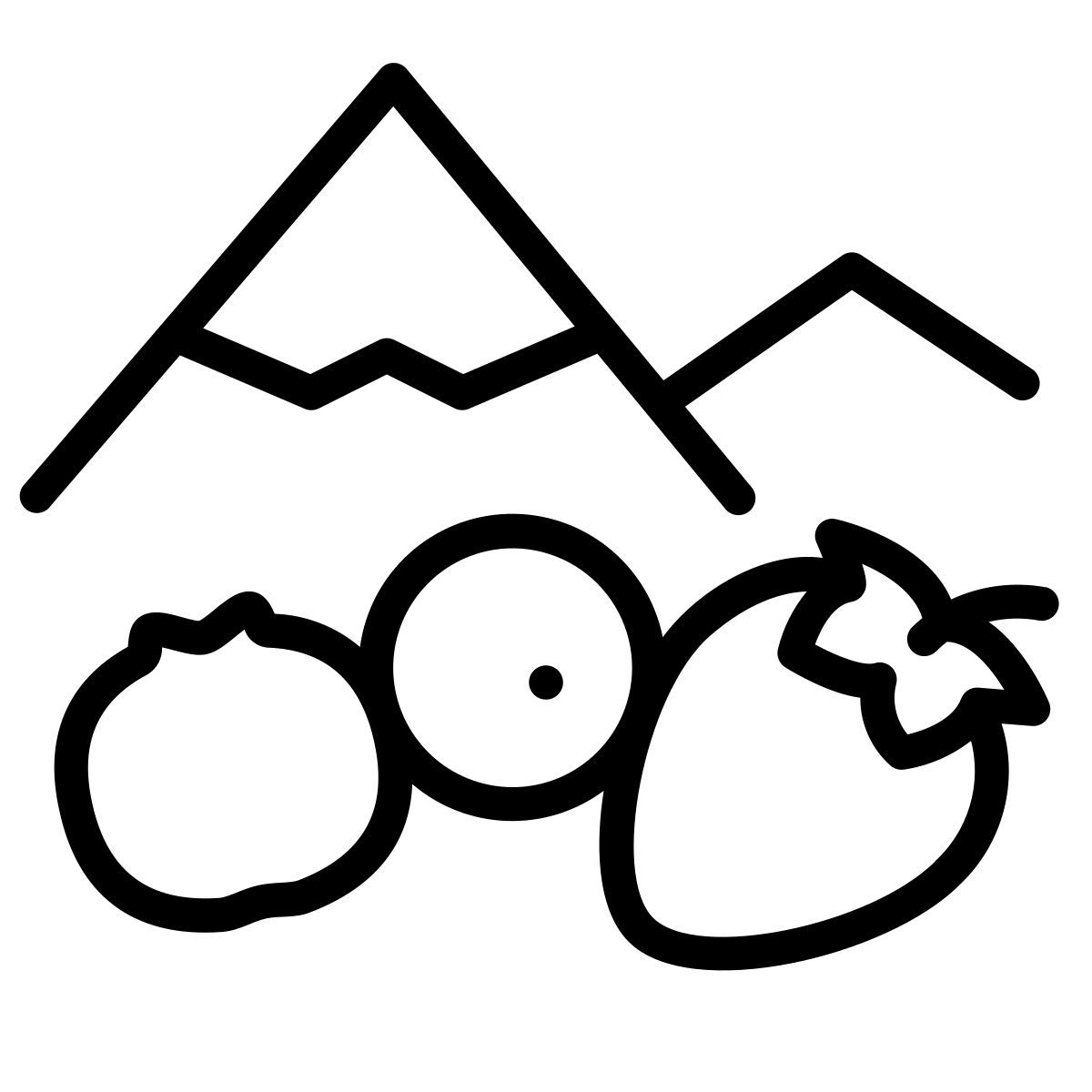 scandinavo icon