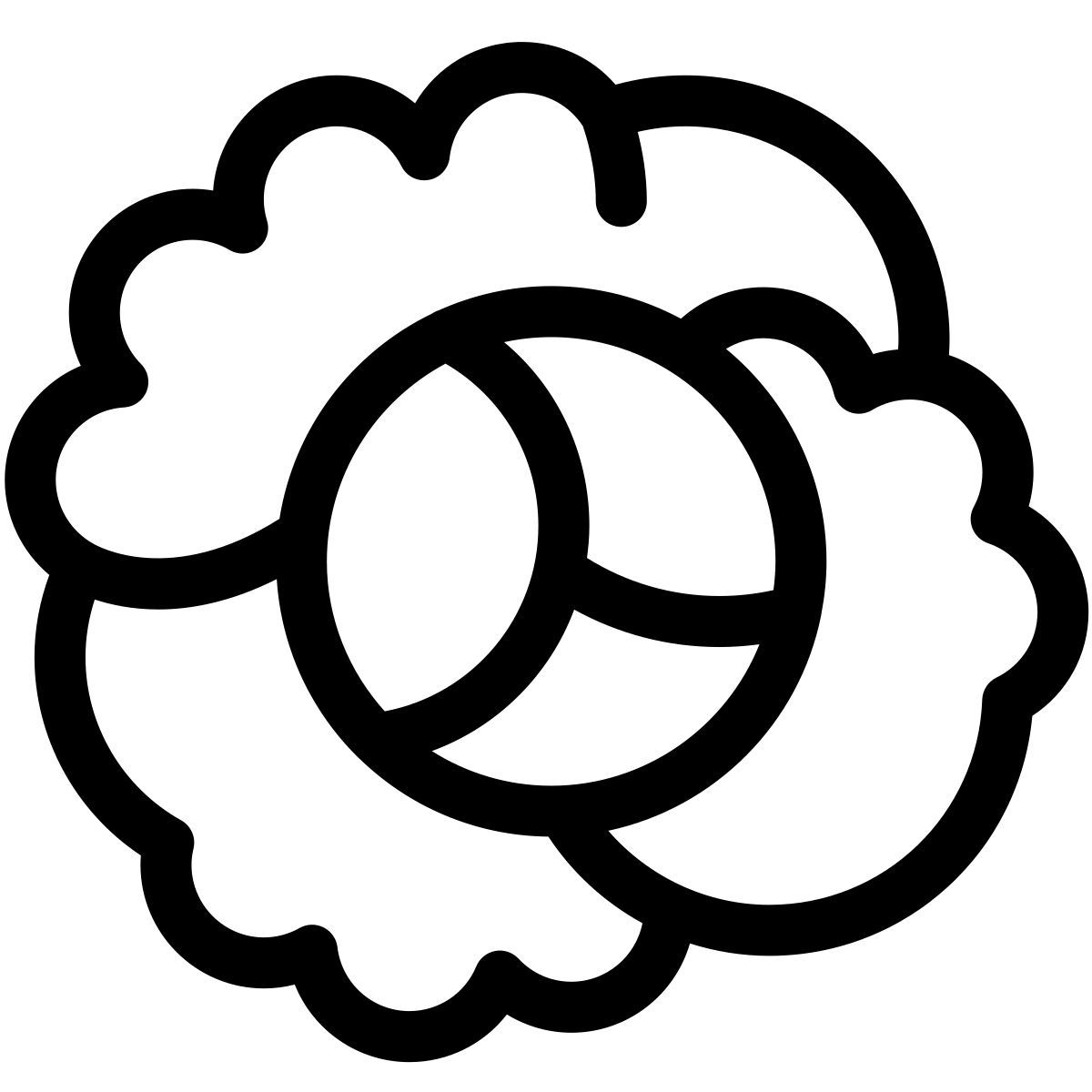 cavolo icon