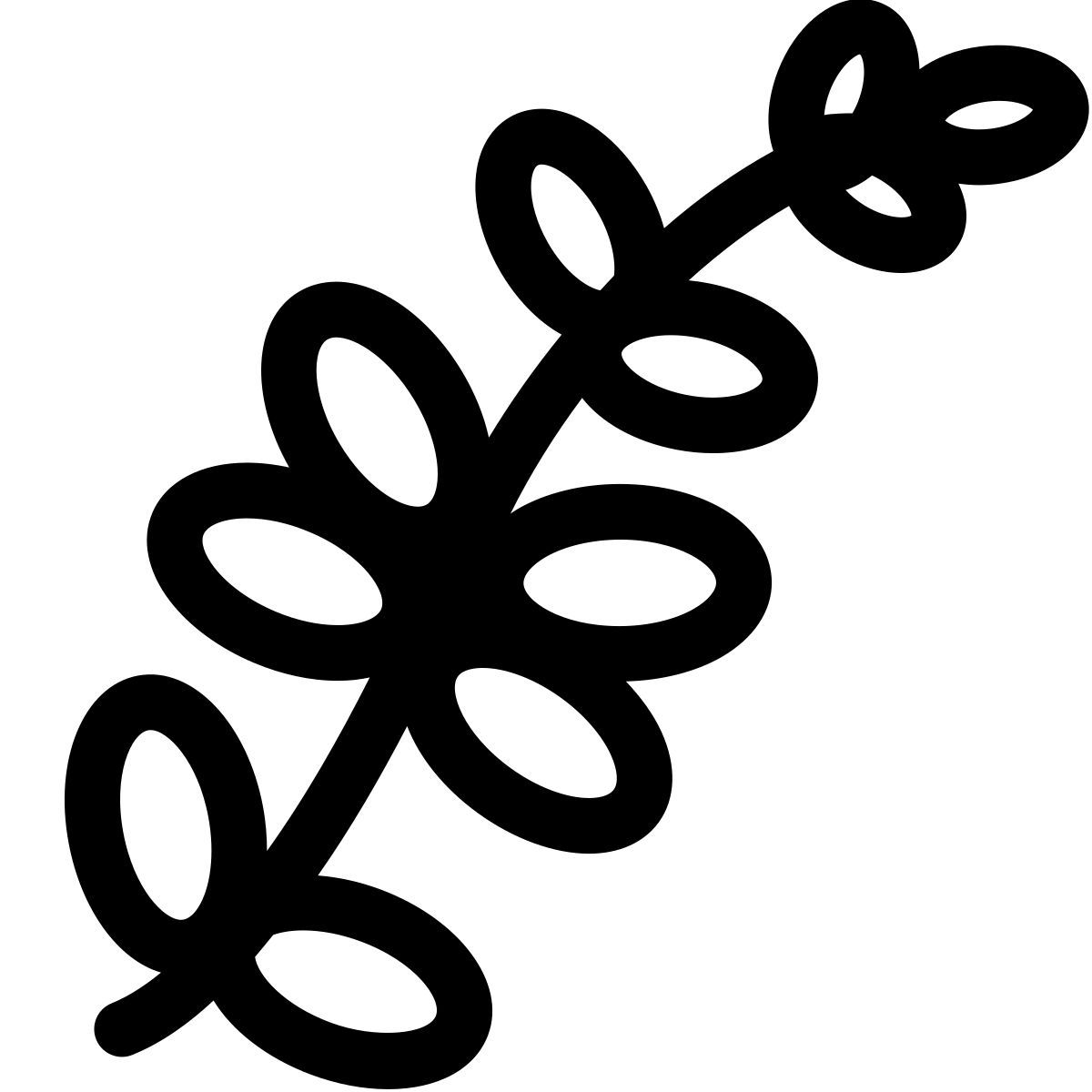 cibo icon