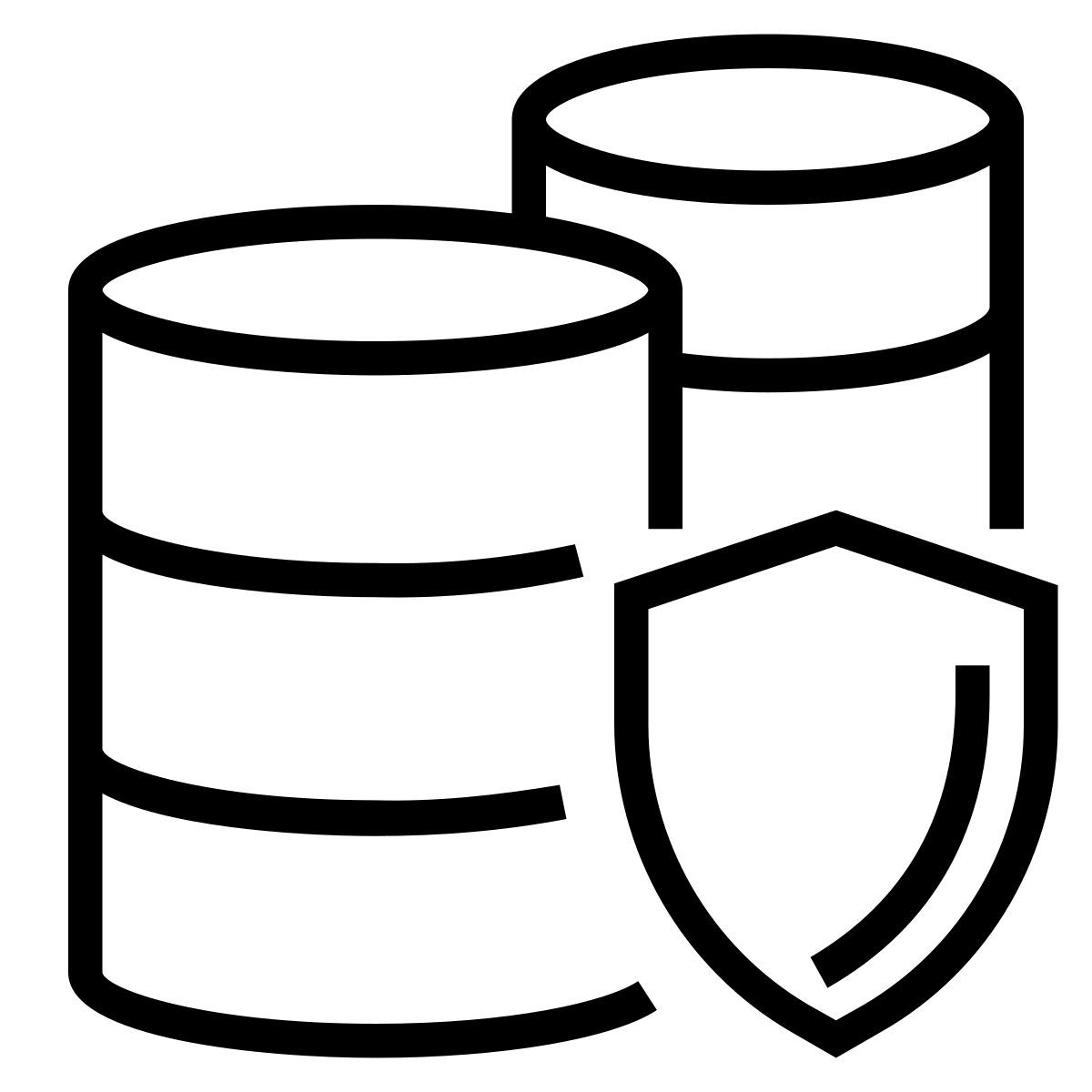 data icon