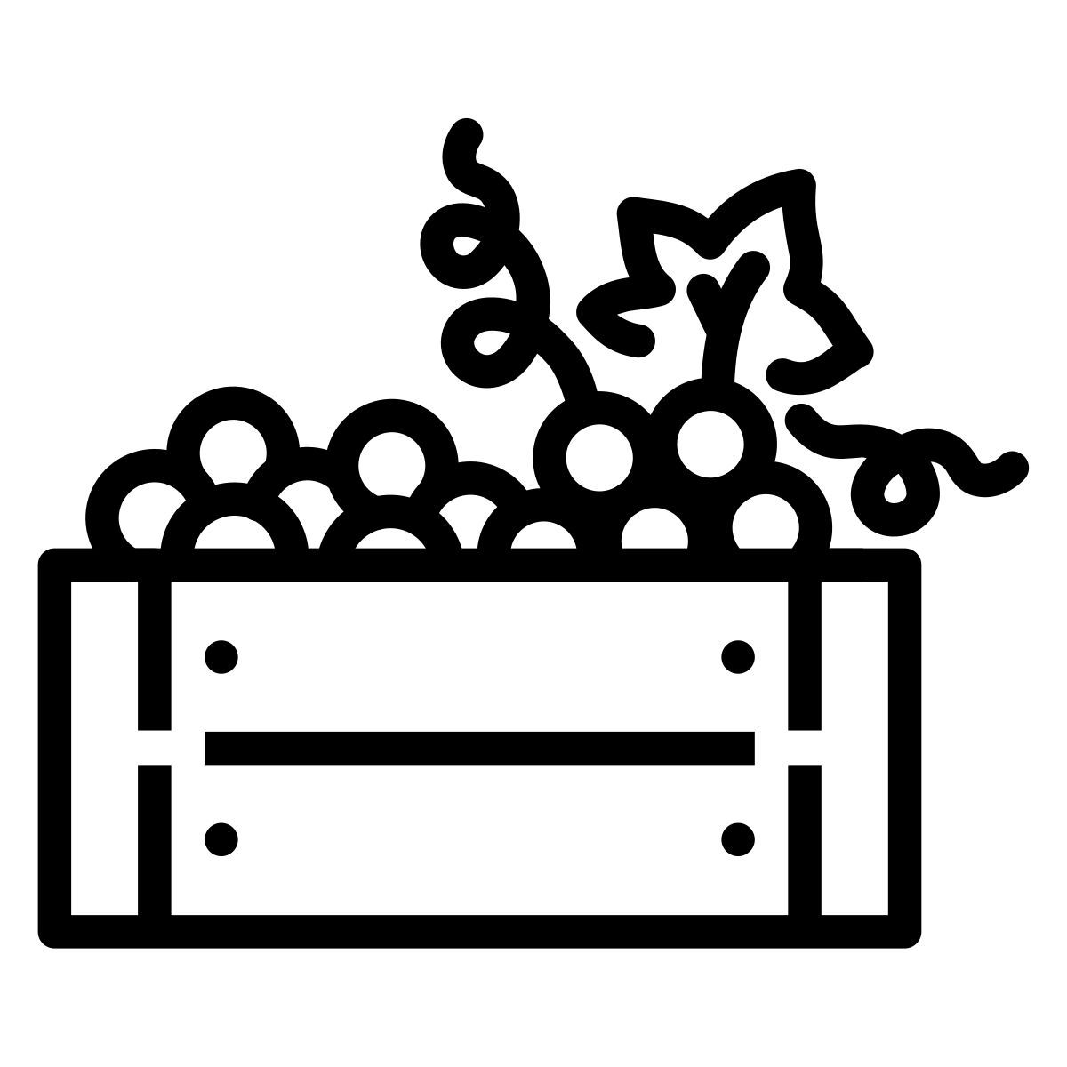 grapes in crate icon