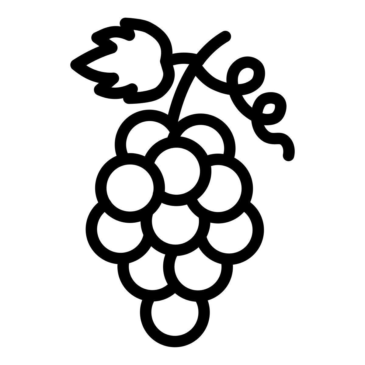 grapes icon