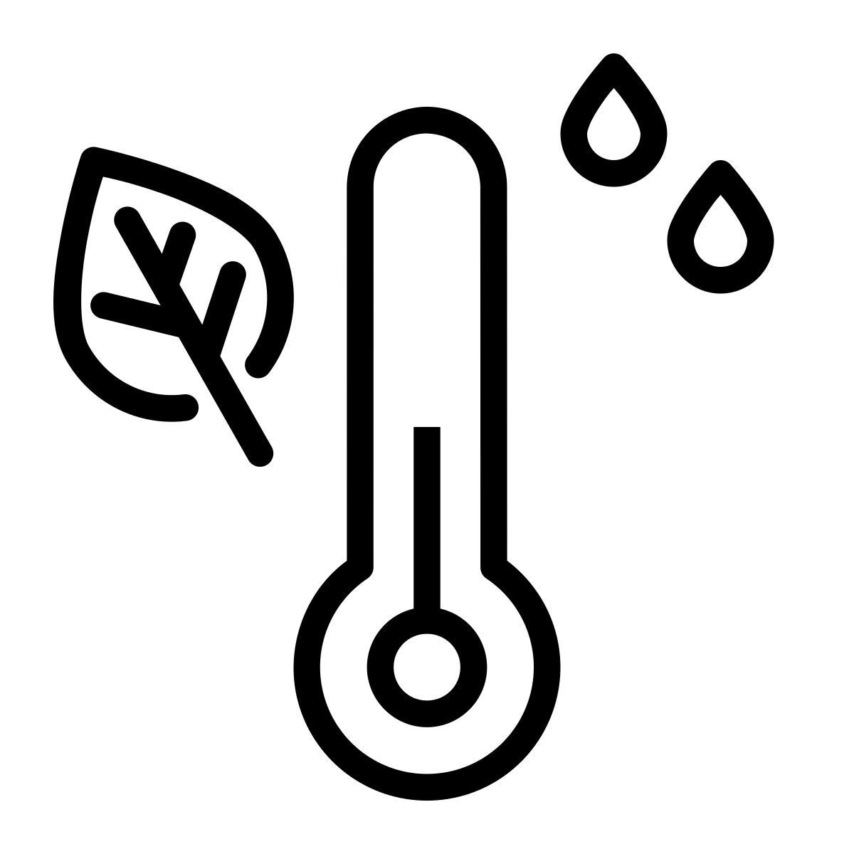 autumn icon