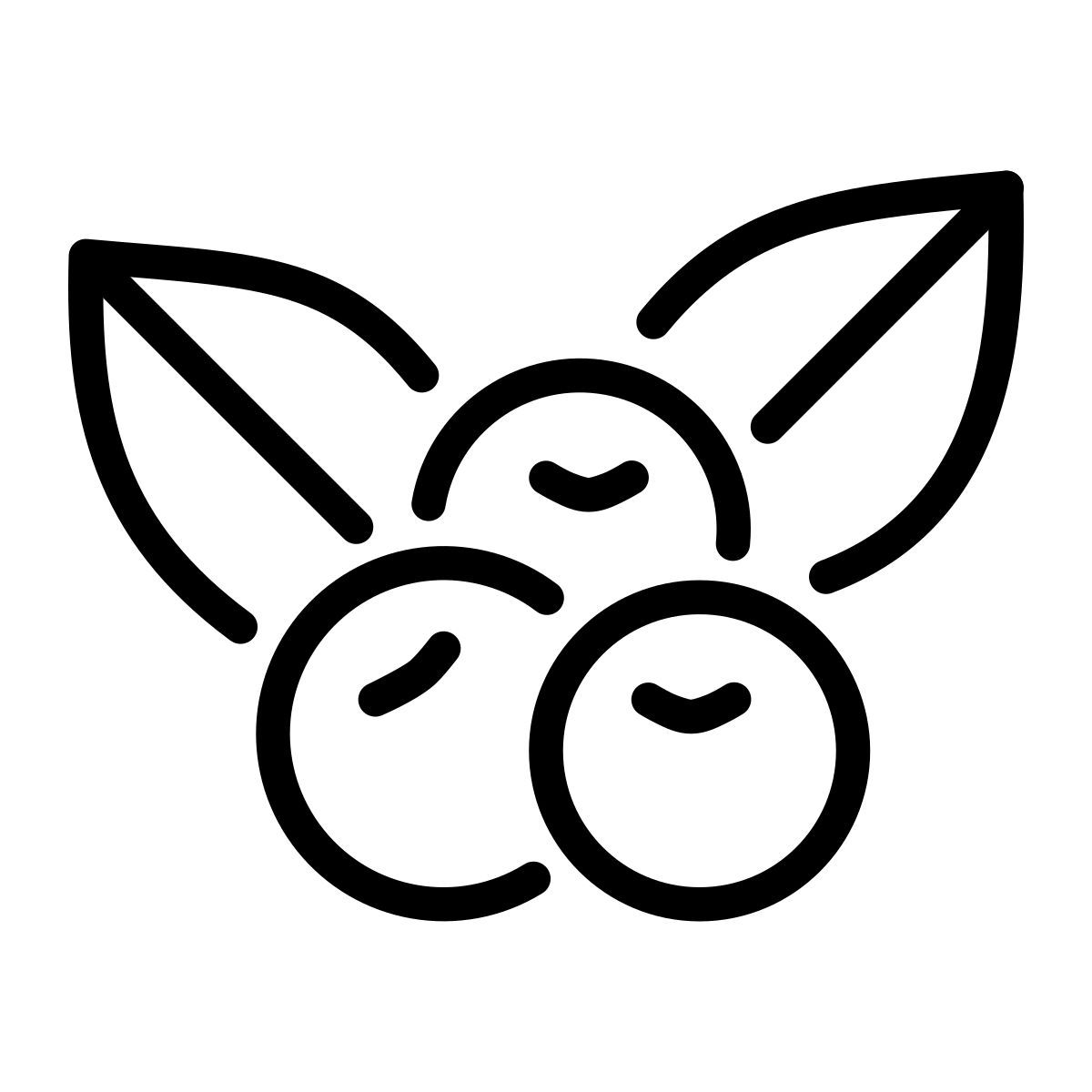 浆果 icon