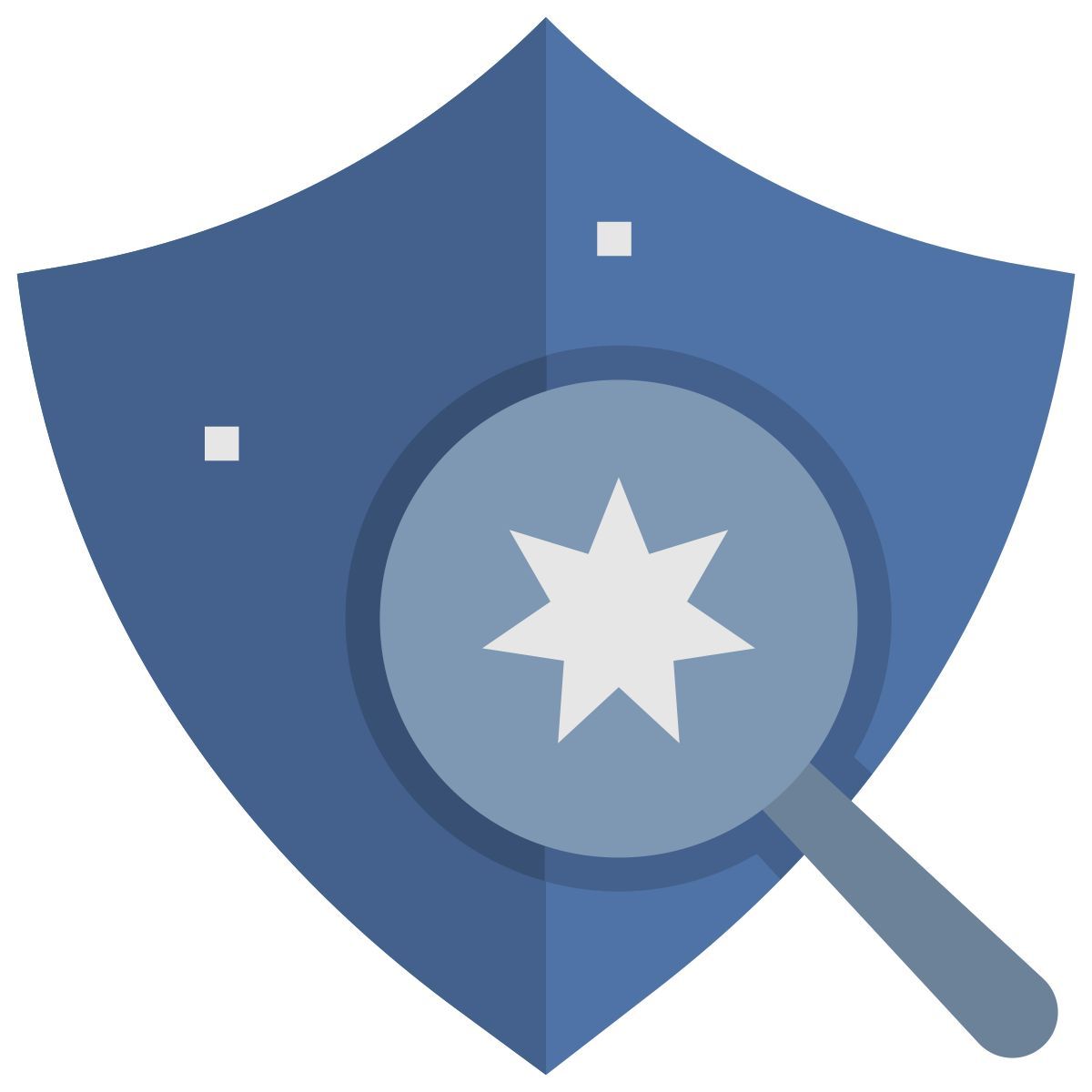 Vulnerabilidade icon