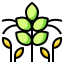 external agronomy-ecology-phatplus-lineal-color-phatplus-2 icon